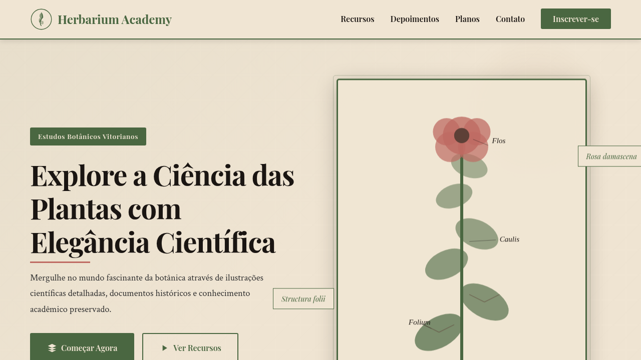 Vintage Botanical Scientific Illustration